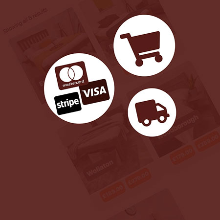 NWD-Service-Ecommerce-Site-Reduced Ecommerce Package Web design